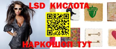 гидра Владимир