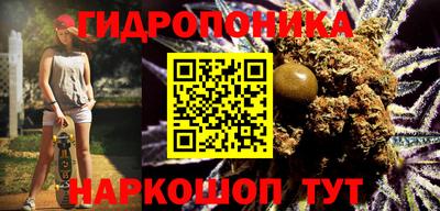 стафф Владивосток