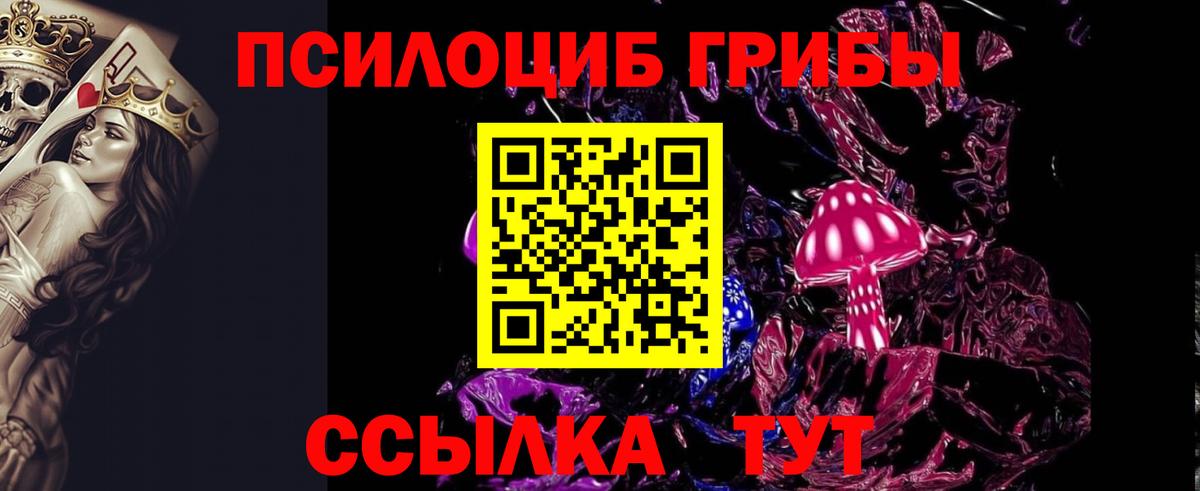 Псилоцибиновые грибы Psilocybine cubensis  Вход с VPN  Семёнов 